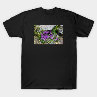 Mountain flowers Switzerland bumblebee / Swiss Artwork Photography T-Shirt